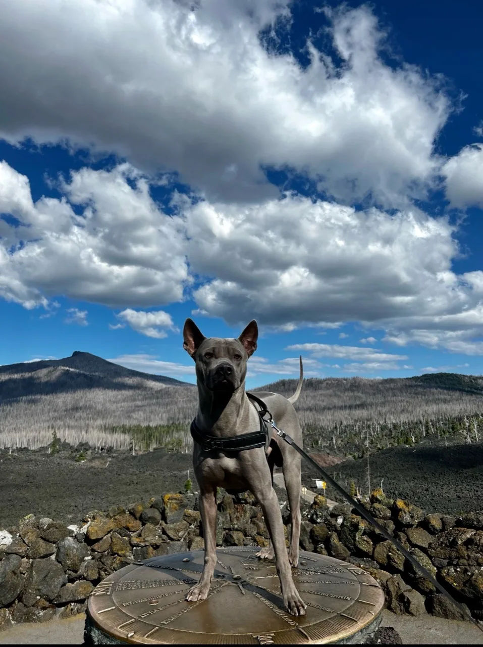 Klaus standing on a circular viewpoint marker with mountains and a cloud-filled sky behind him