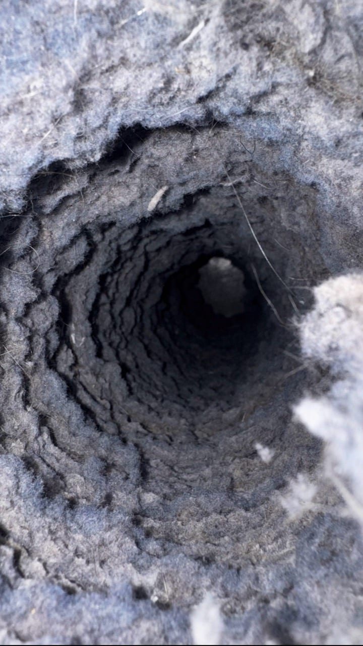 Close-up of lint accumulated inside a round vent
